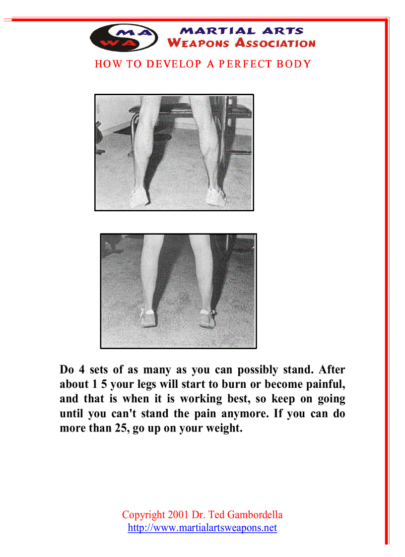 image for page How To Develope A Perfect Body