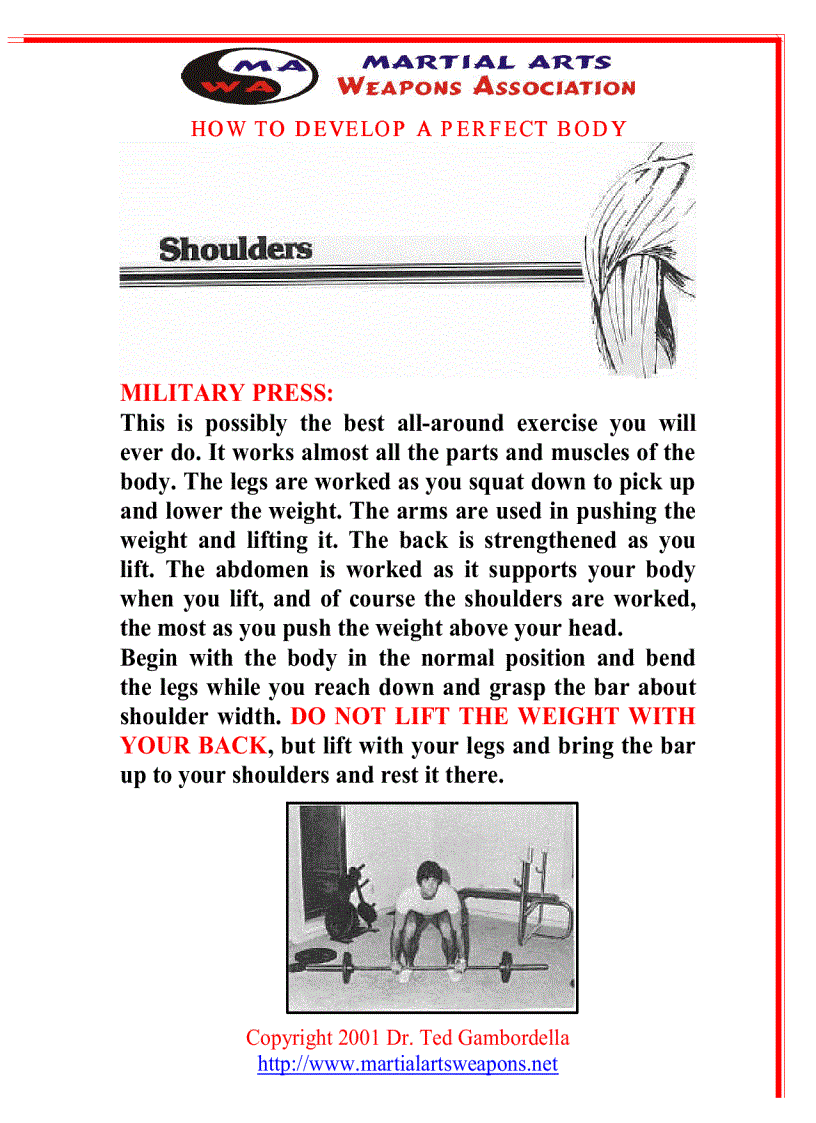 image for page How To Develope A Perfect Body