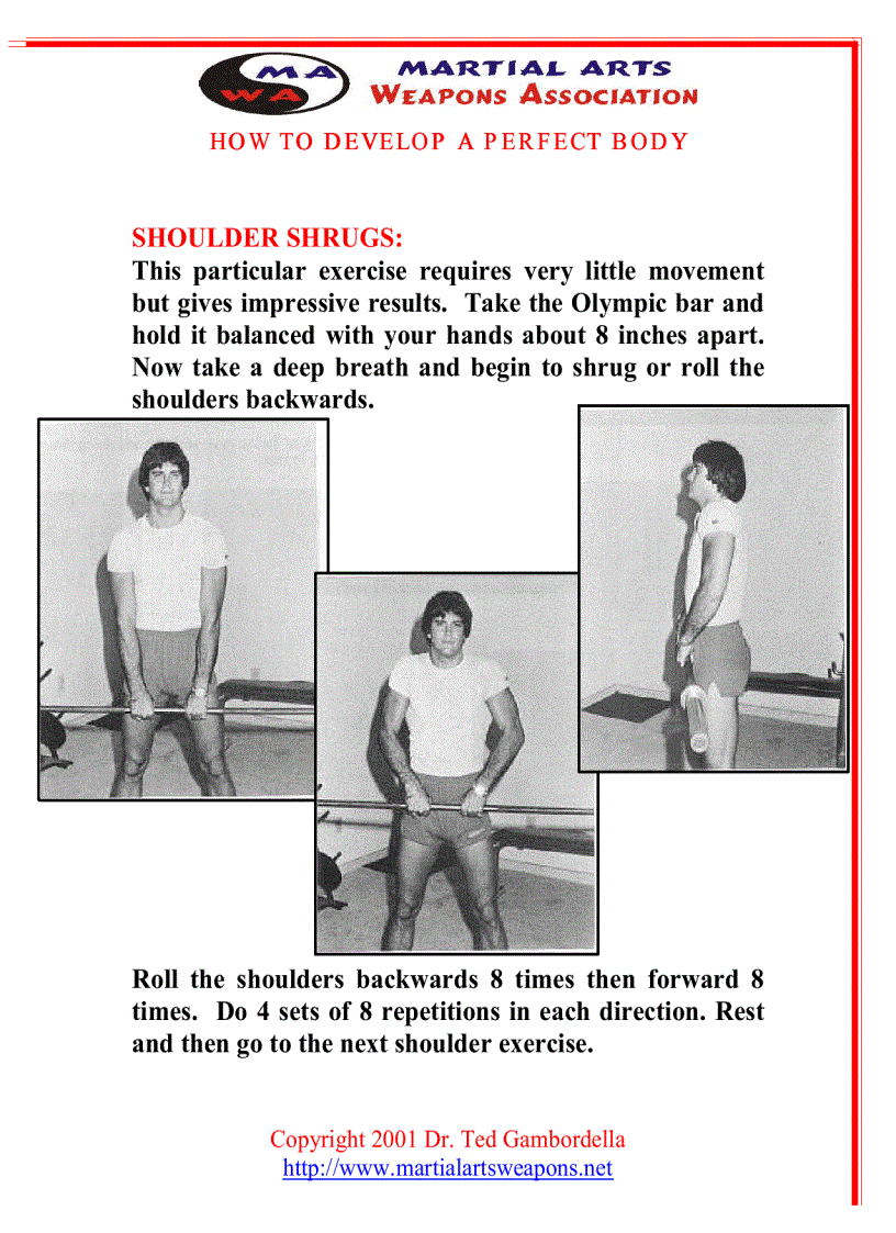 image for page How To Develope A Perfect Body