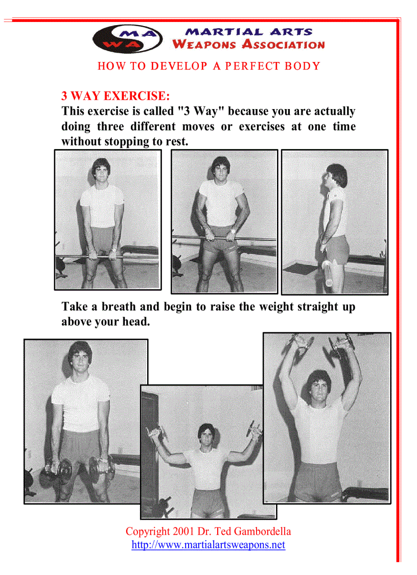 image for page How To Develope A Perfect Body