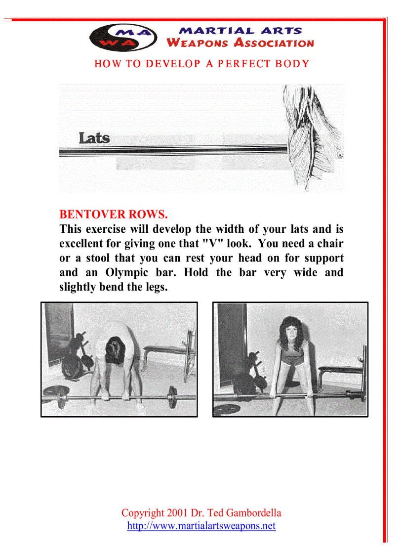 image for page How To Develope A Perfect Body