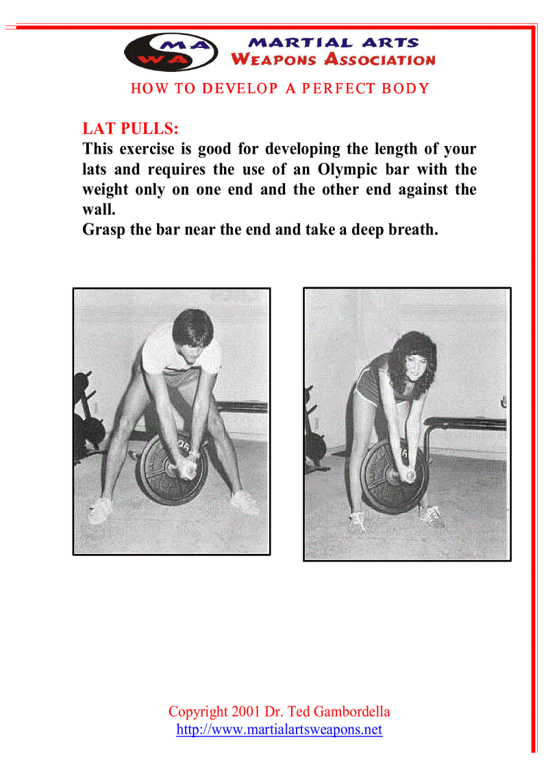 image for page How To Develope A Perfect Body