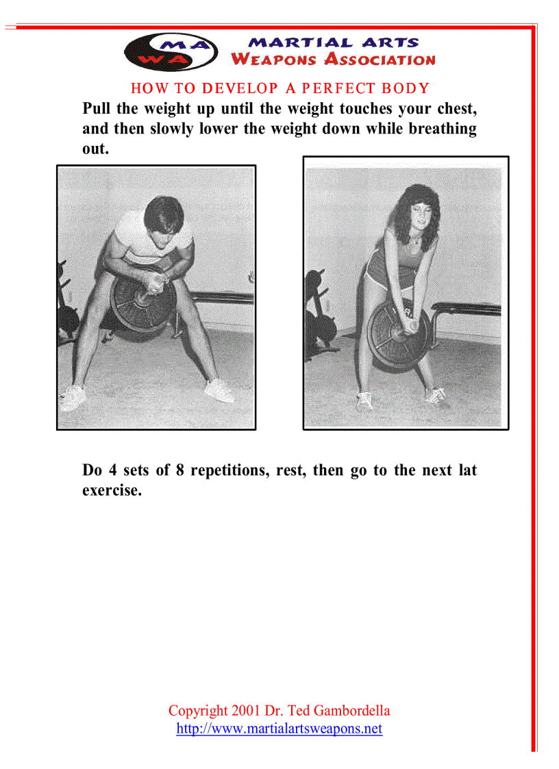 image for page How To Develope A Perfect Body