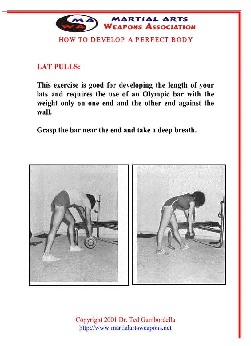 image for page How To Develope A Perfect Body