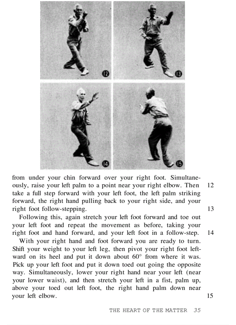 image for page Hsing I Chinese Mind Body Boxing