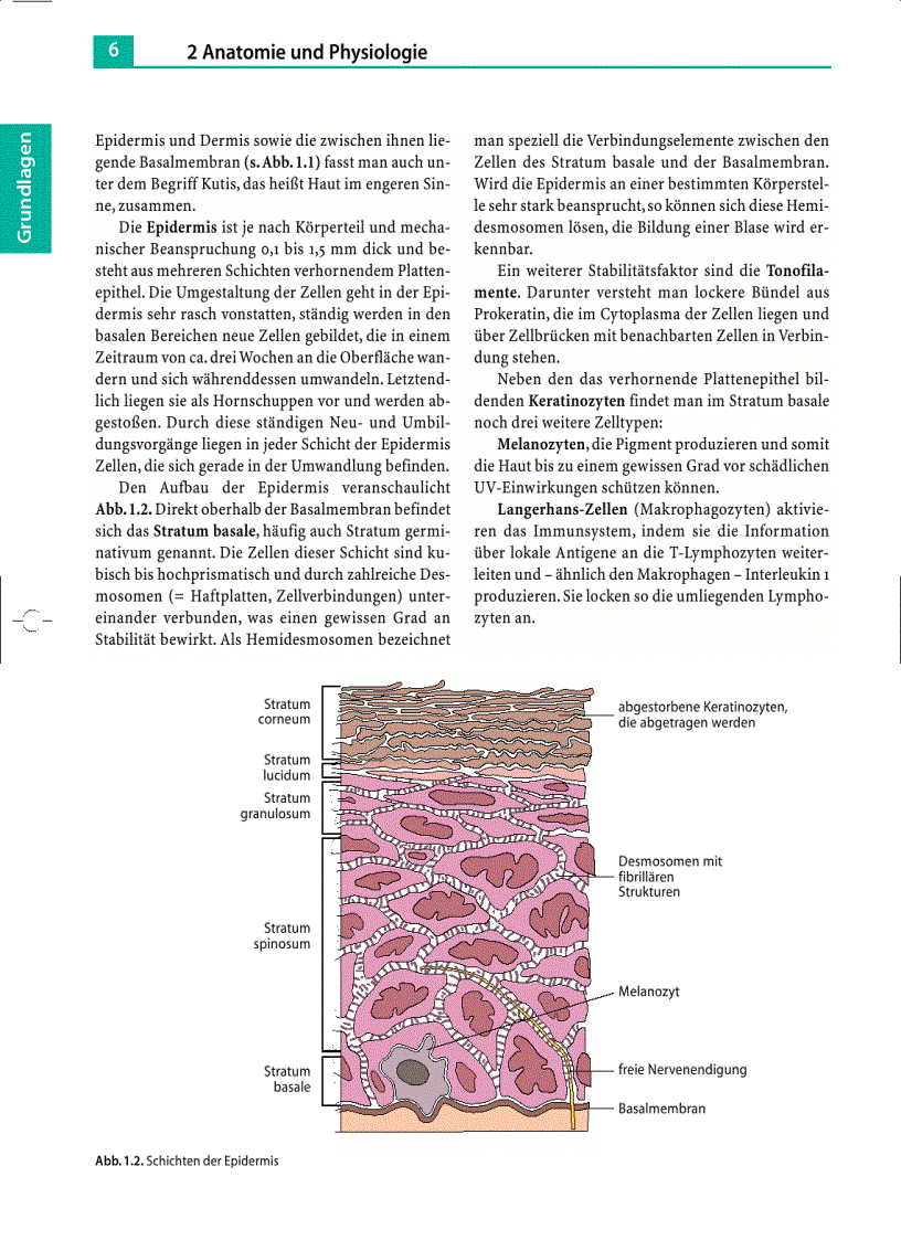 image for page Massage Klassische Massage Querfriktionen Funktionsmassage