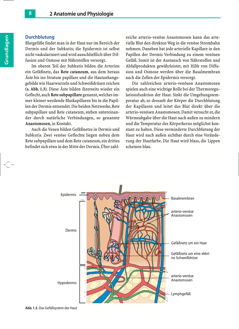 image for page Massage Klassische Massage Querfriktionen Funktionsmassage