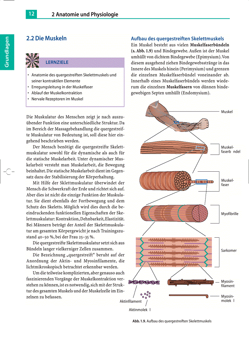 image for page Massage Klassische Massage Querfriktionen Funktionsmassage