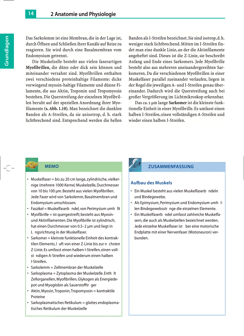 image for page Massage Klassische Massage Querfriktionen Funktionsmassage