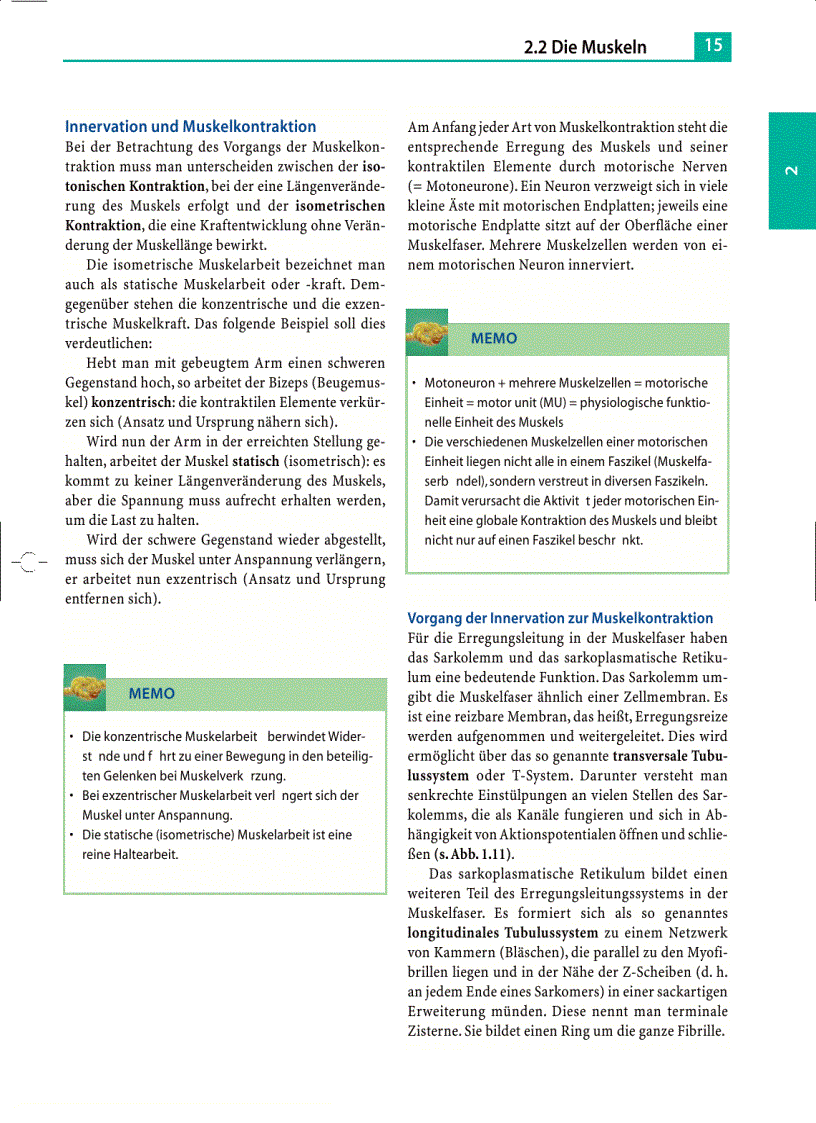 image for page Massage Klassische Massage Querfriktionen Funktionsmassage