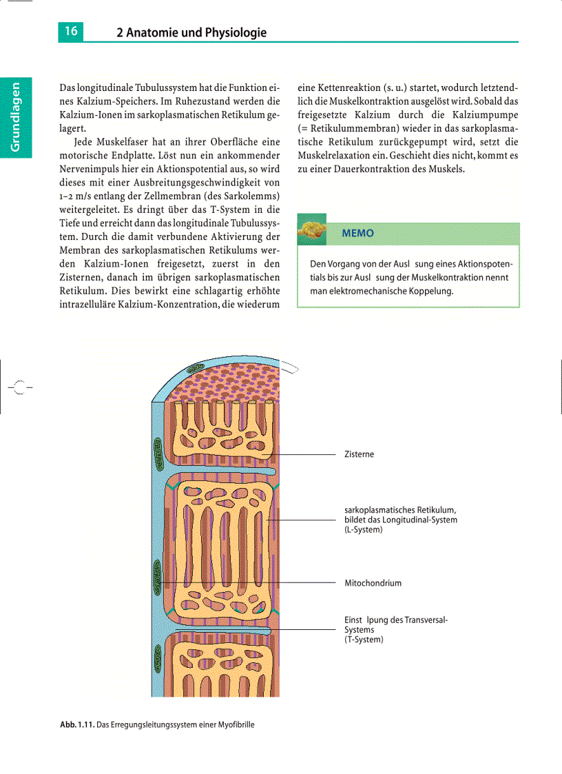 image for page Massage Klassische Massage Querfriktionen Funktionsmassage