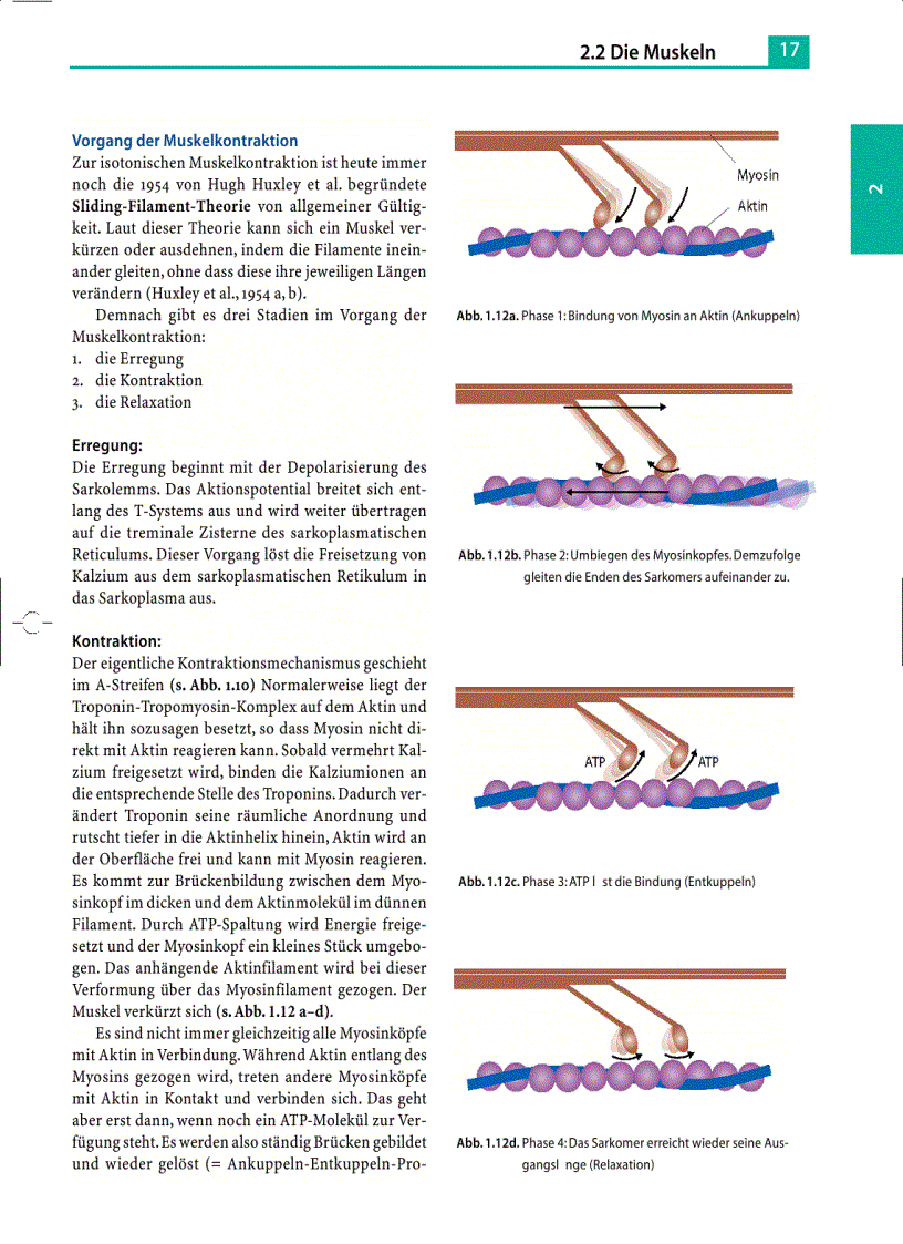 image for page Massage Klassische Massage Querfriktionen Funktionsmassage