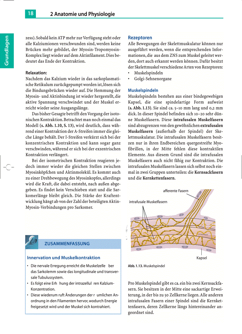 image for page Massage Klassische Massage Querfriktionen Funktionsmassage