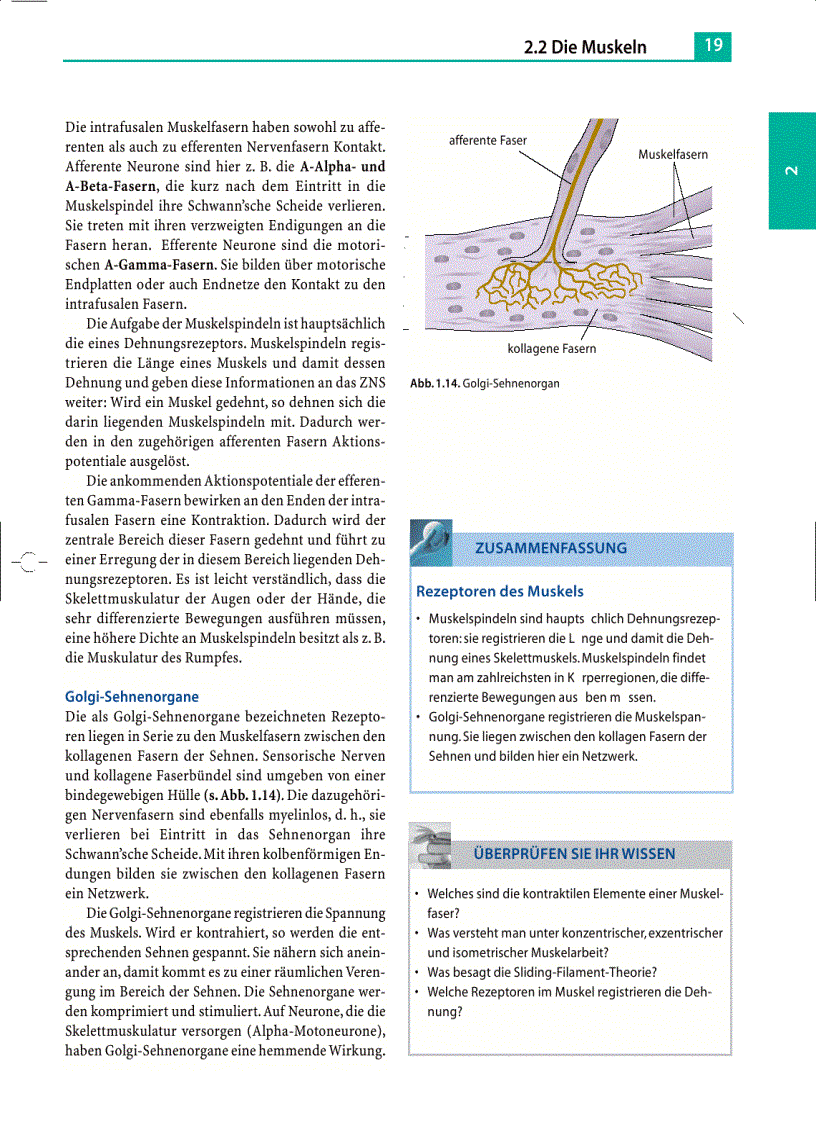 image for page Massage Klassische Massage Querfriktionen Funktionsmassage