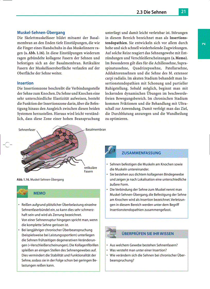 image for page Massage Klassische Massage Querfriktionen Funktionsmassage