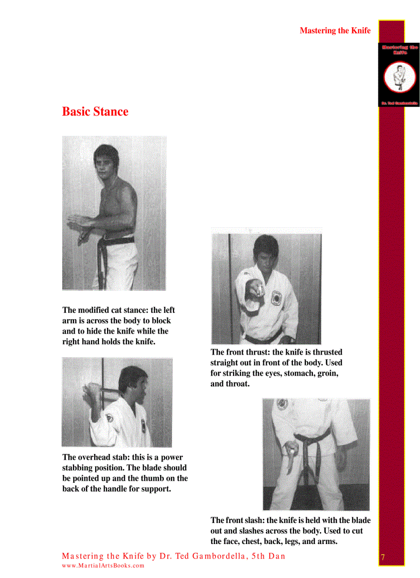 image for page Mastering The Knife