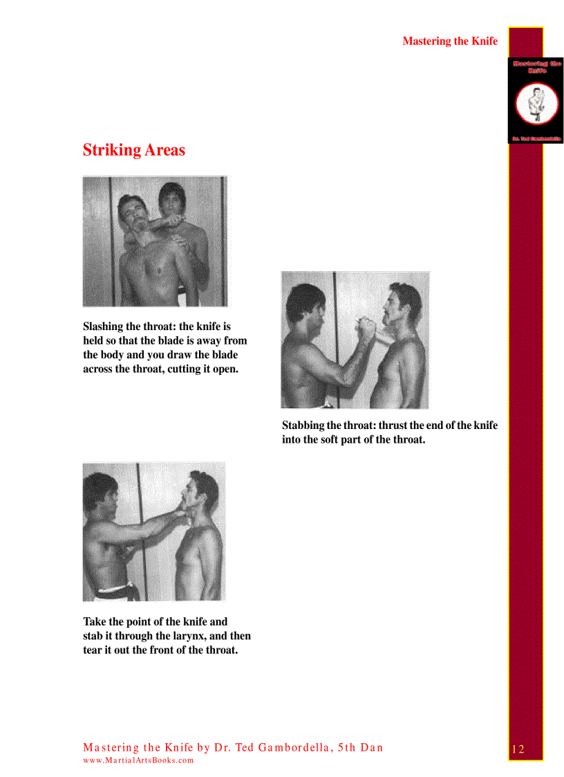 image for page Mastering The Knife