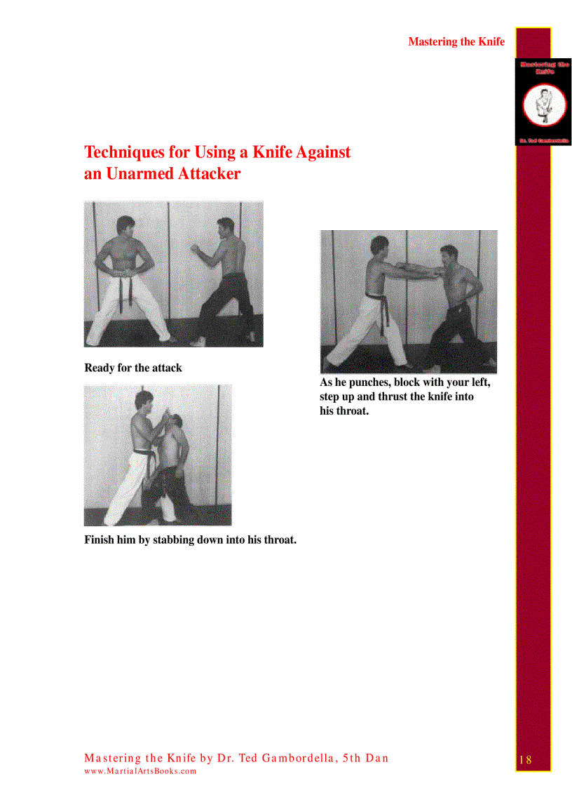 image for page Mastering The Knife