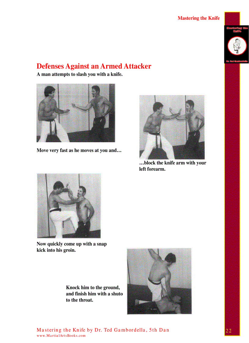 image for page Mastering The Knife