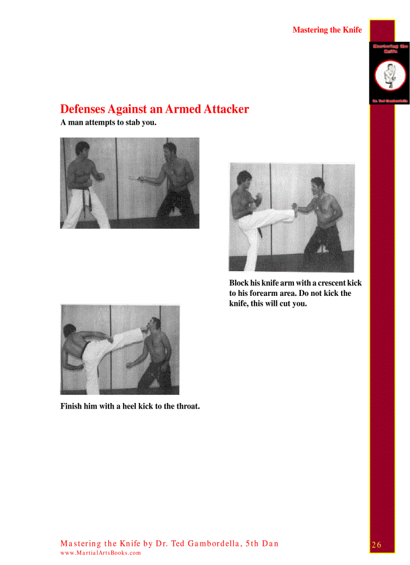 image for page Mastering The Knife