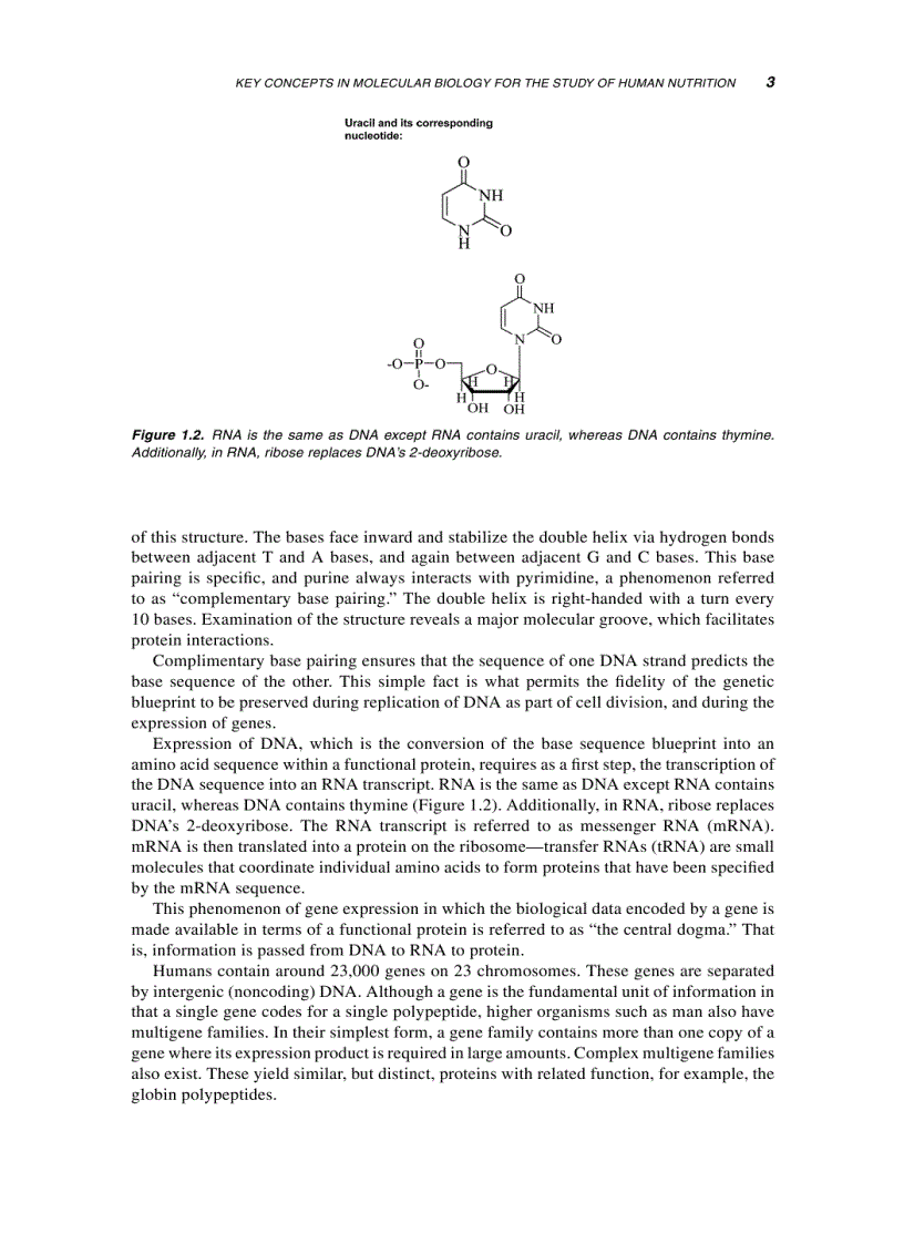 image for page Molecular Nutritision