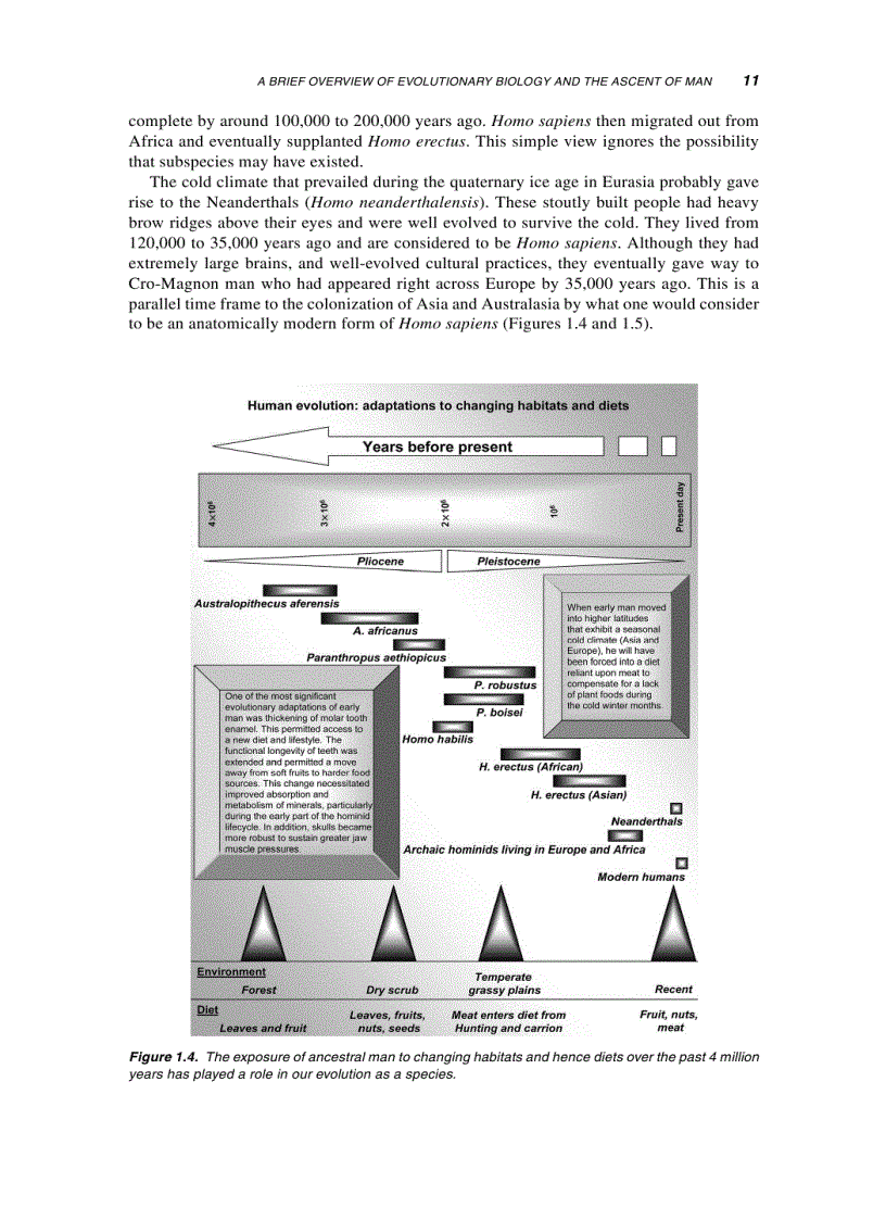 image for page Molecular Nutritision