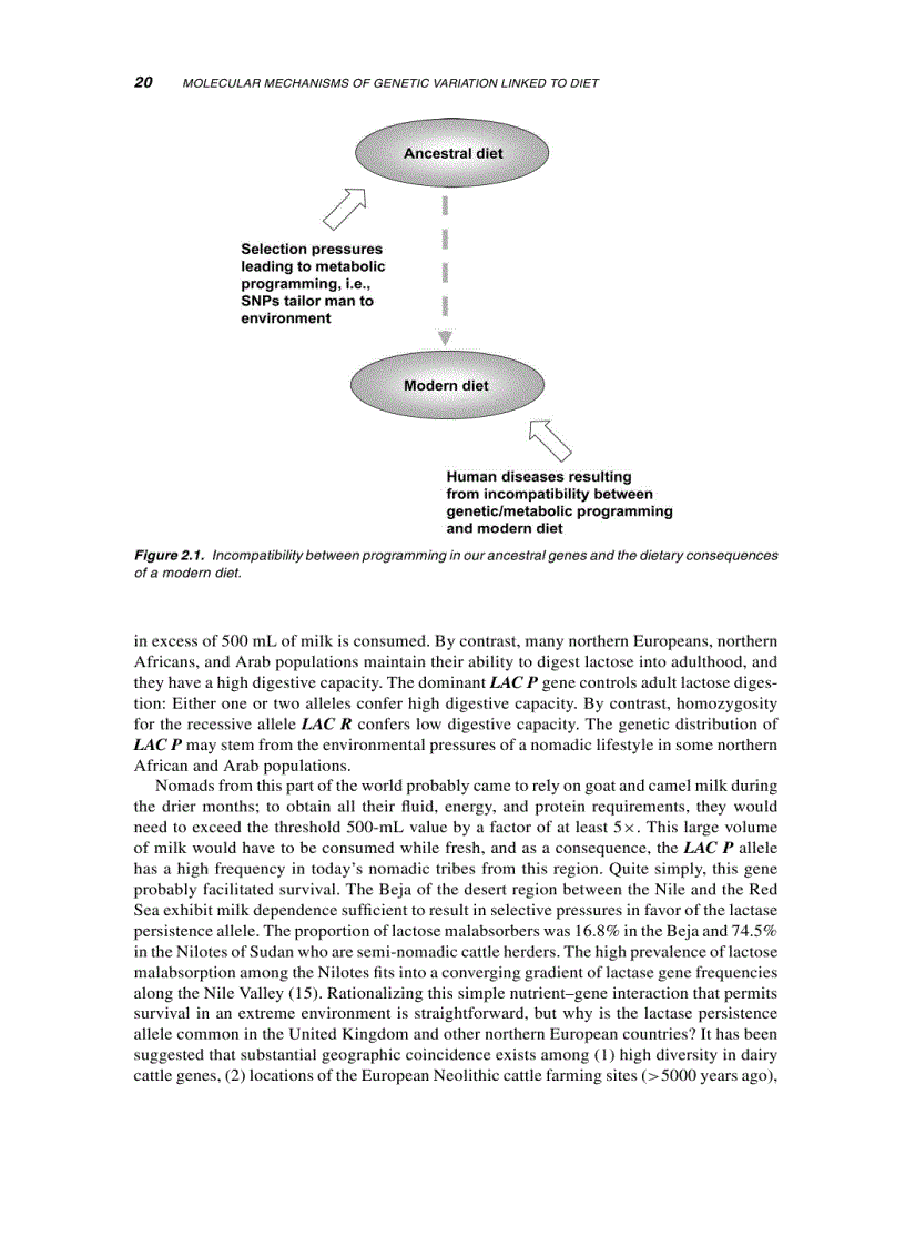 image for page Molecular Nutritision