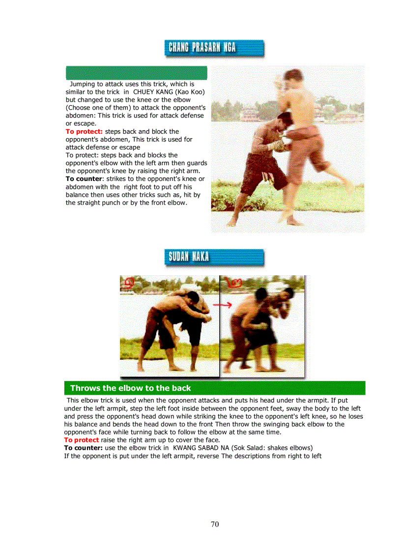 image for page Muay Thai The art of fighting