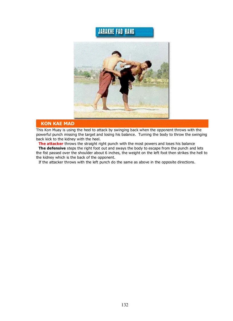 image for page Muay Thai The art of fighting