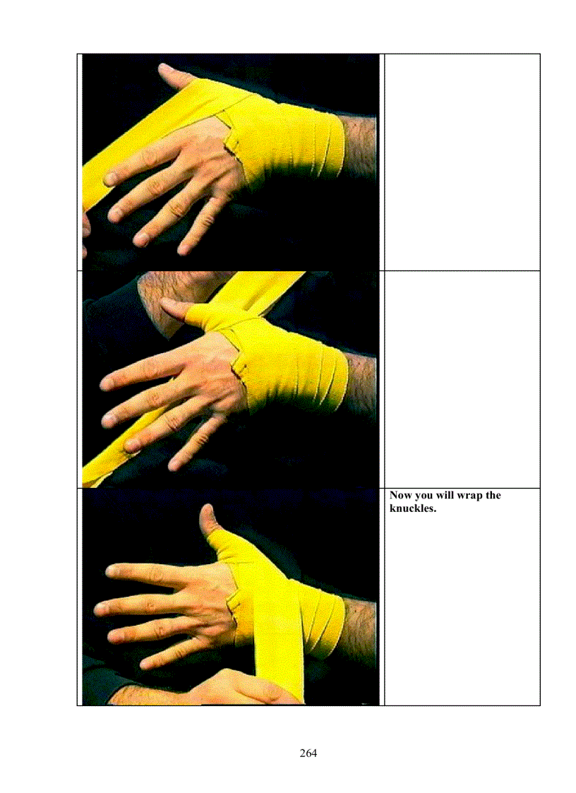 image for page Muay Thai The art of fighting