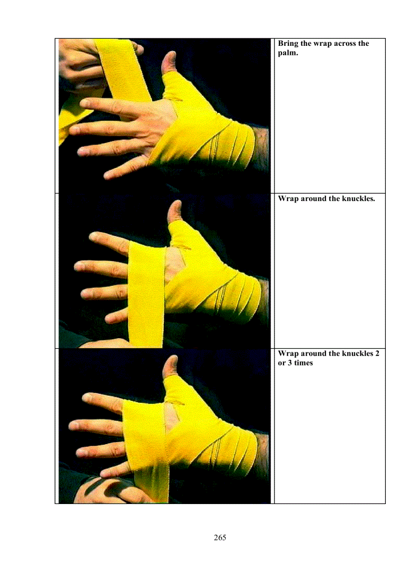 image for page Muay Thai The art of fighting