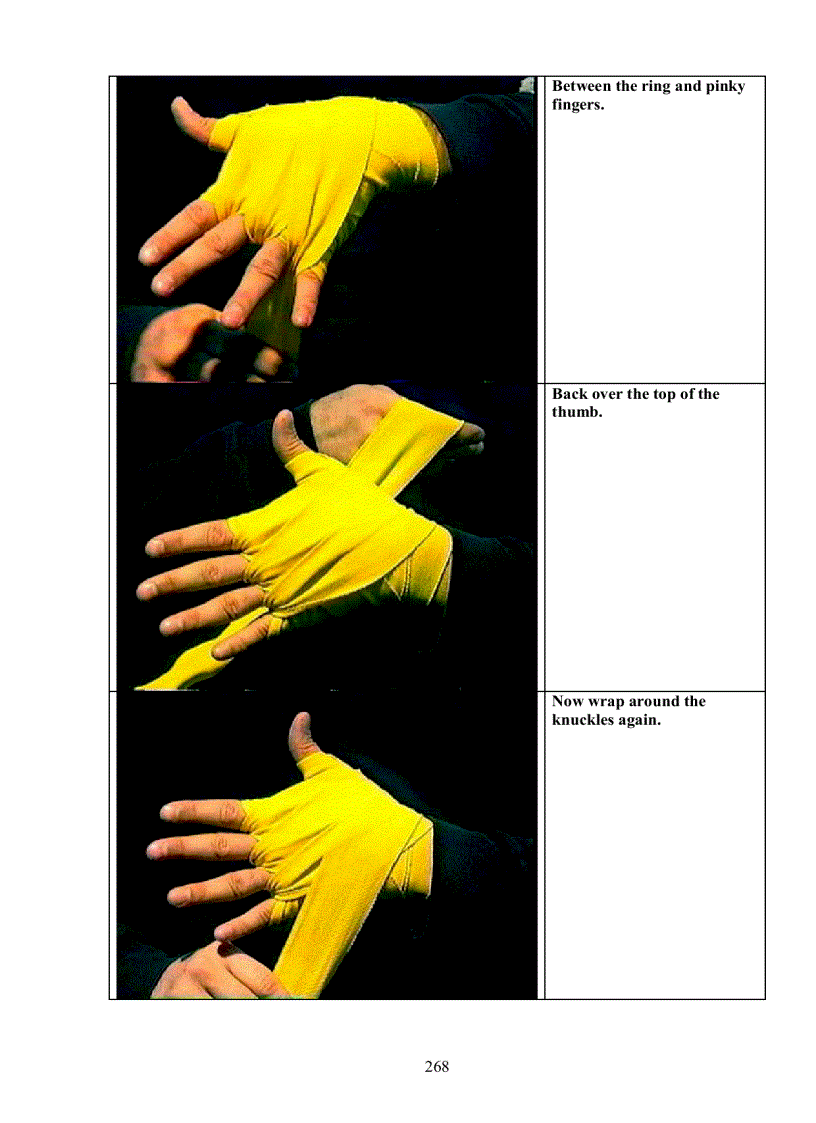 image for page Muay Thai The art of fighting