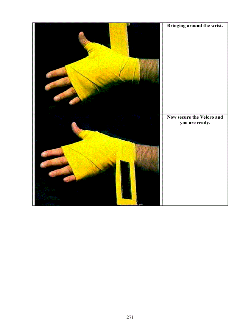 image for page Muay Thai The art of fighting