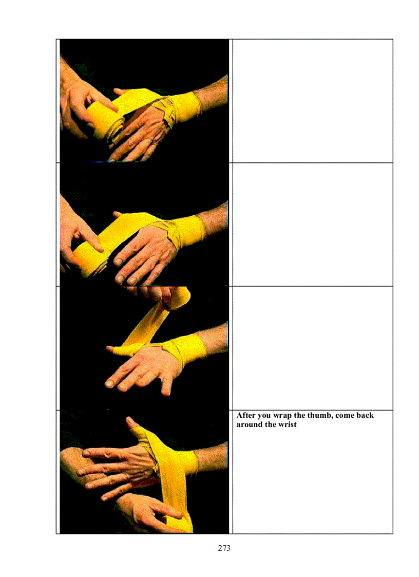 image for page Muay Thai The art of fighting