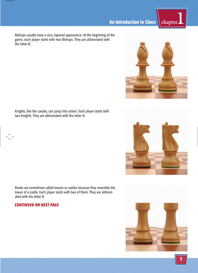 image for page Teach Yourself VISUALLY Chess