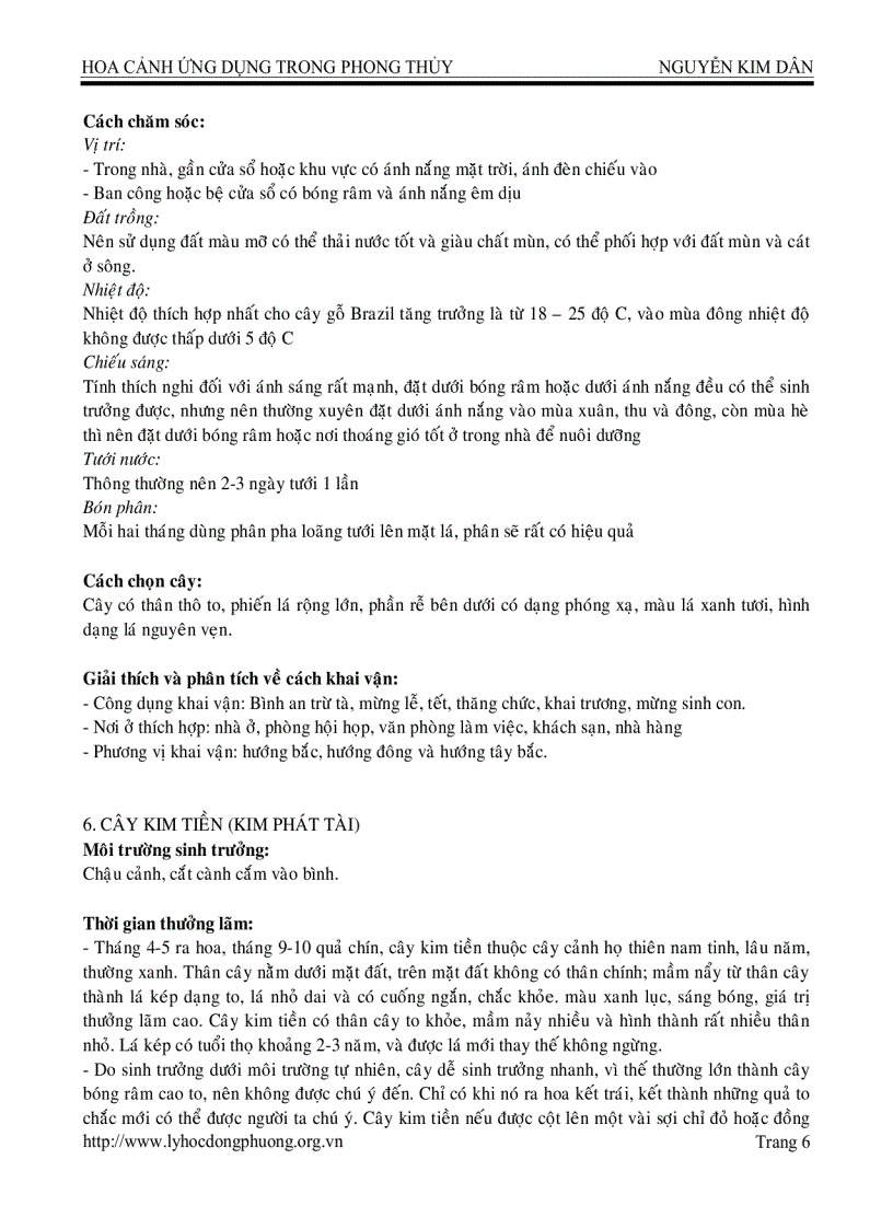 image for page Hoa cảnh ứng dụng trong phong thủy