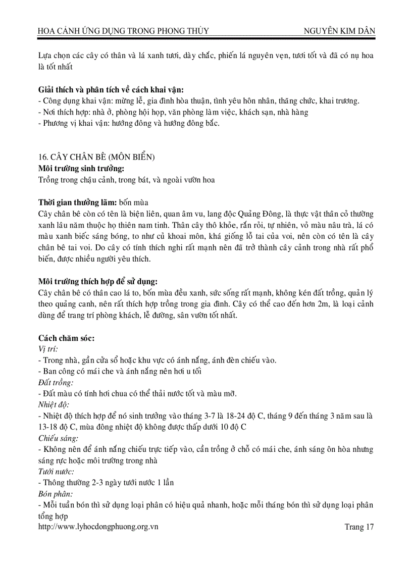 image for page Hoa cảnh ứng dụng trong phong thủy