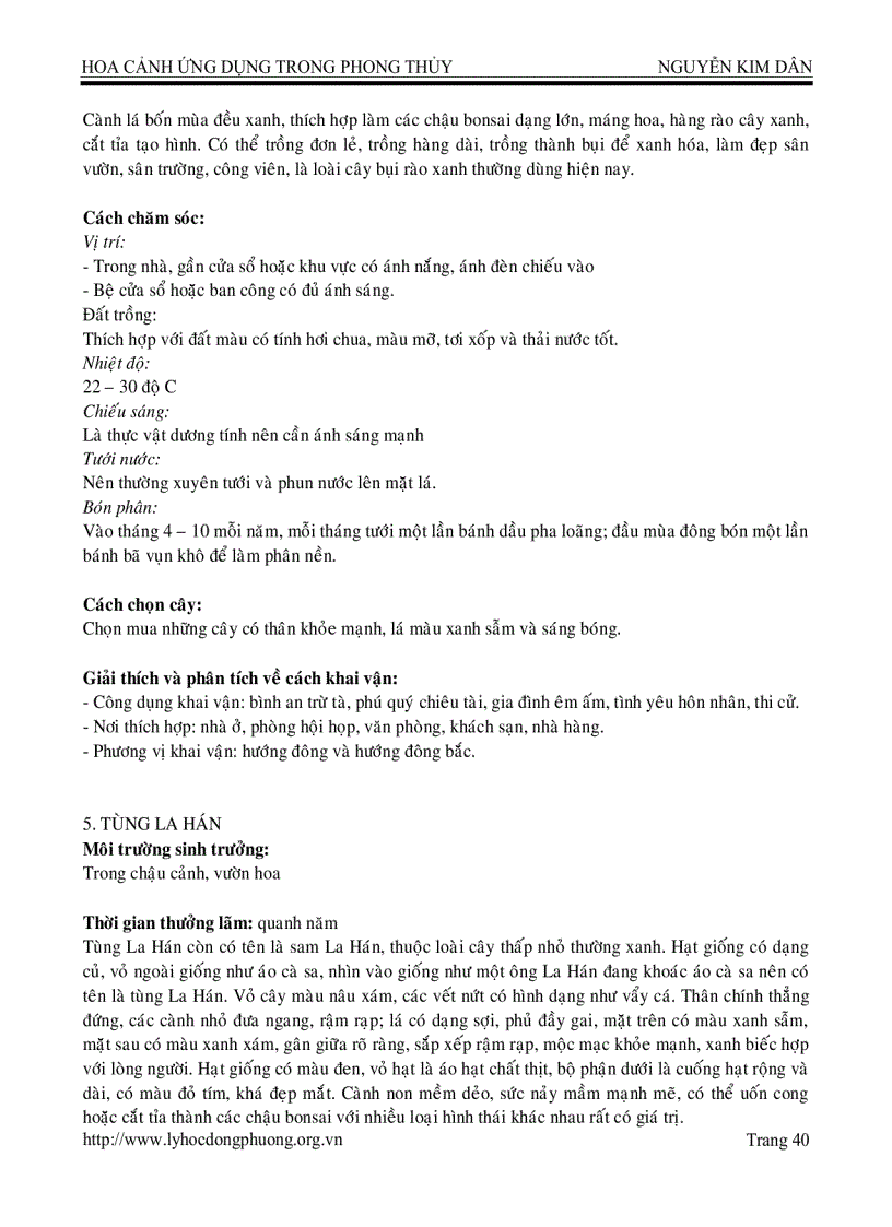 image for page Hoa cảnh ứng dụng trong phong thủy