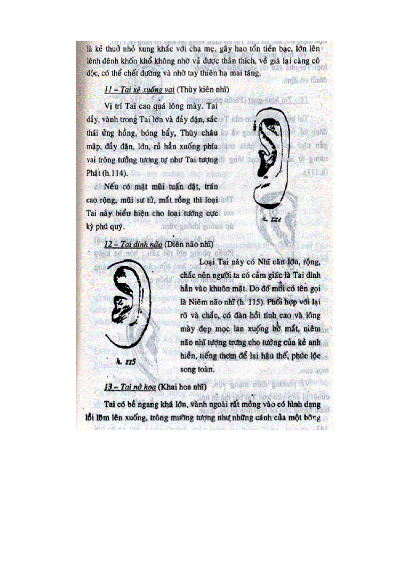 image for page Nhân Tướng Học Phần 3