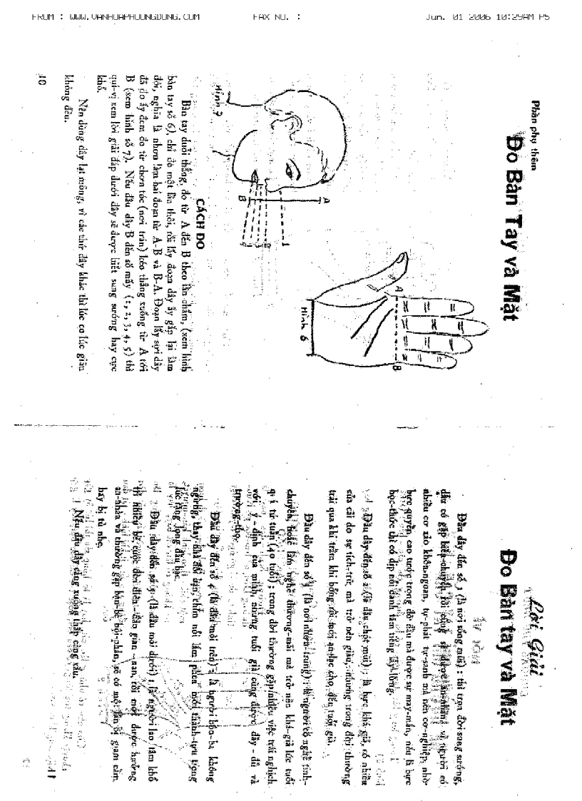 Những chỉ bí mật trong bàn tay