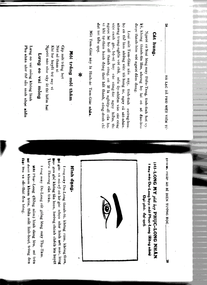 image for page Tướng pháp áo bí diện tướng học