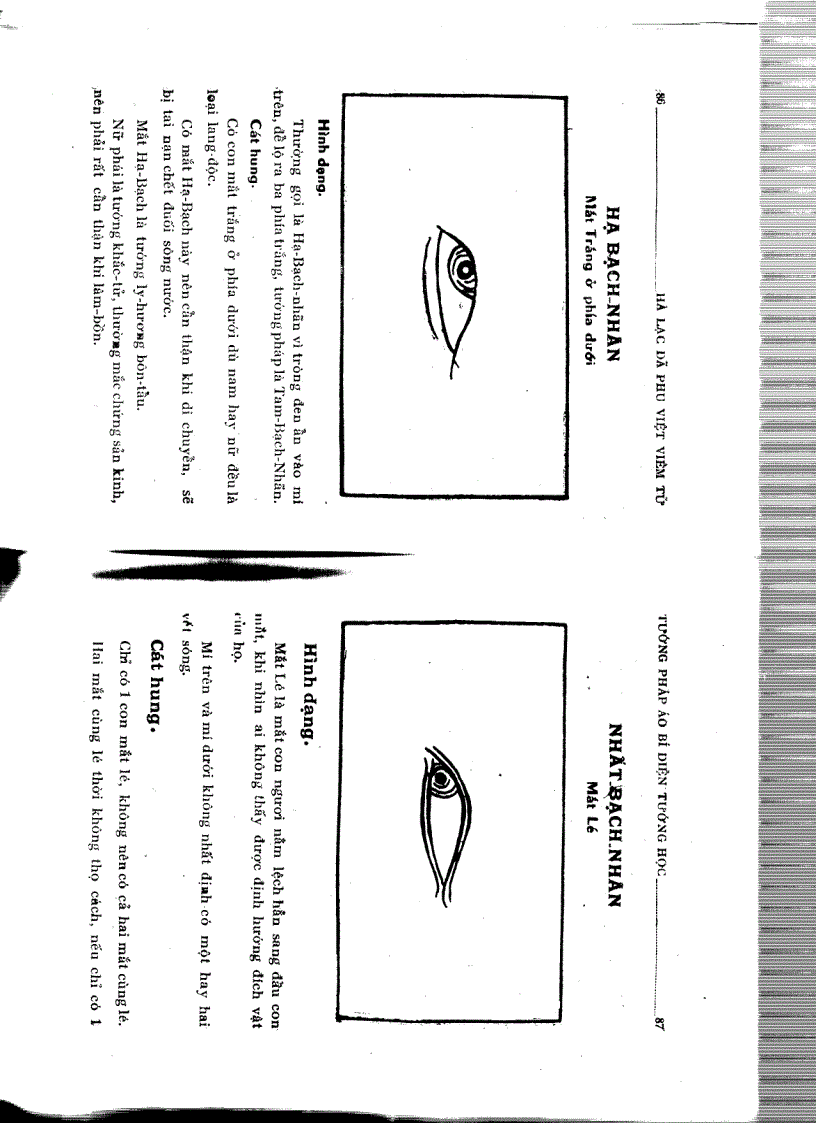 image for page Tướng pháp áo bí diện tướng học