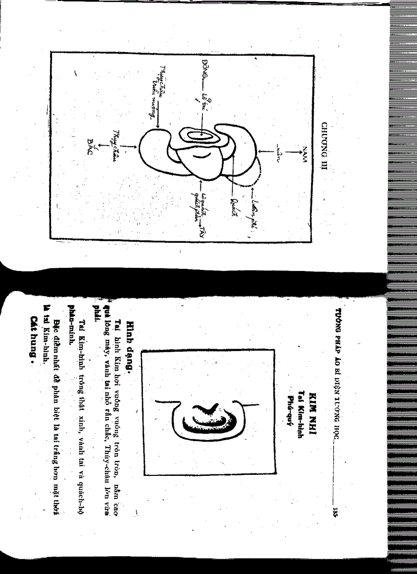 image for page Tướng pháp áo bí diện tướng học