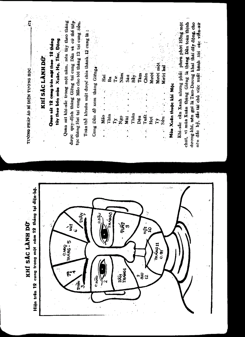 image for page Tướng pháp áo bí diện tướng học