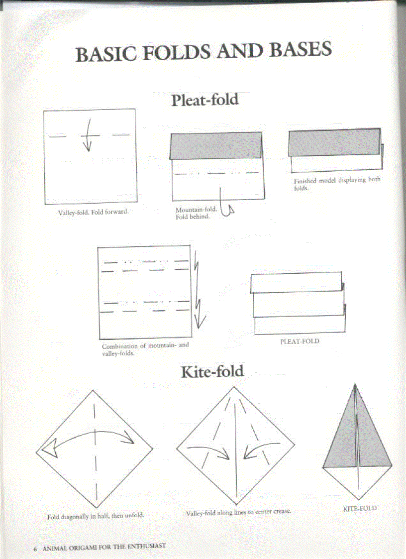 image for page Animal Origami for The Enthusiast