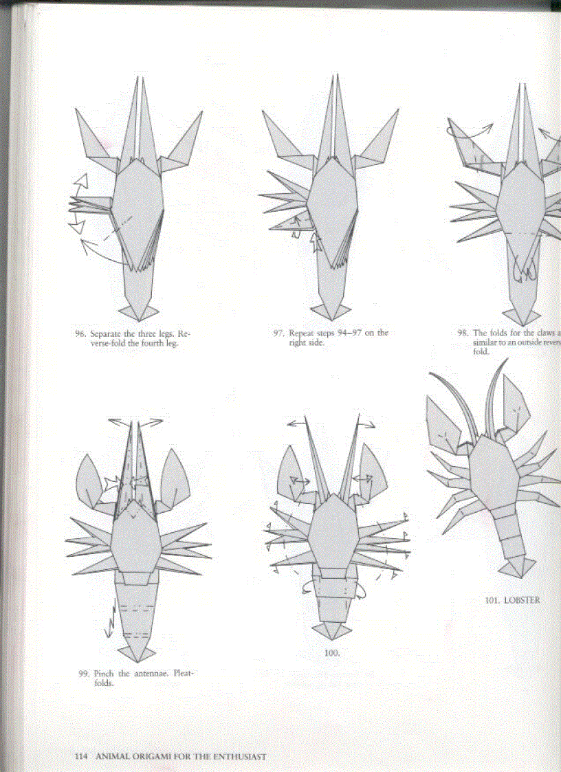 image for page Animal Origami for The Enthusiast