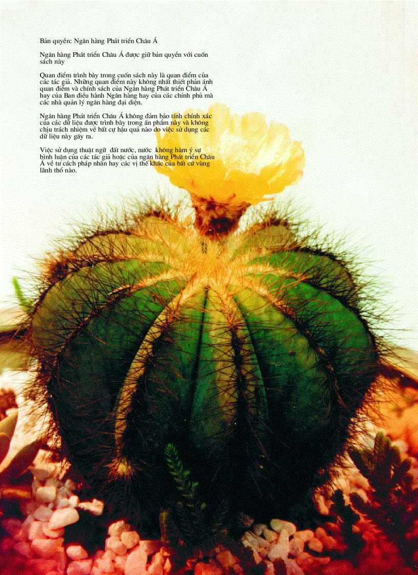 image for page Con Đường Doanh Nhân Vượt Lên Từ Khó Khăn