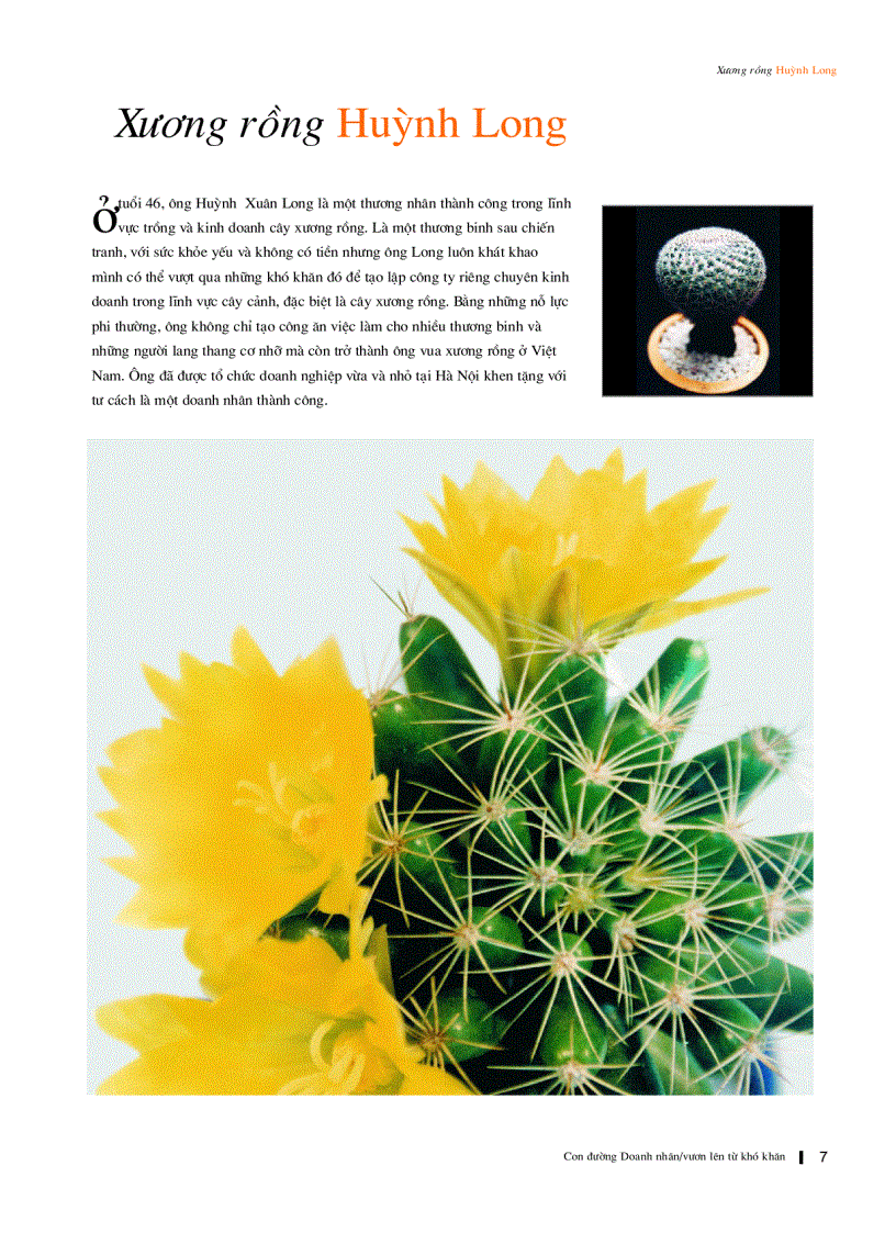 image for page Con Đường Doanh Nhân Vượt Lên Từ Khó Khăn