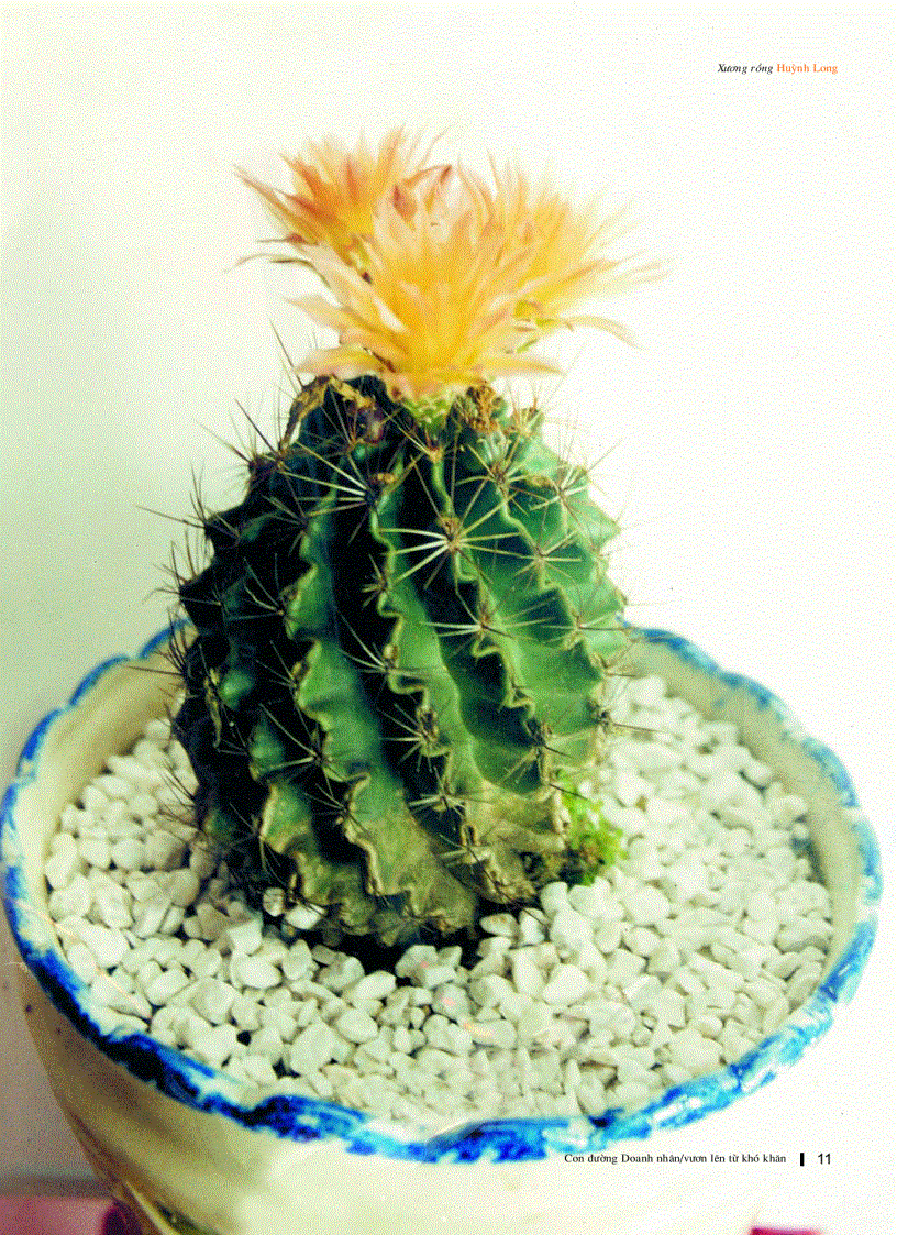 image for page Con Đường Doanh Nhân Vượt Lên Từ Khó Khăn