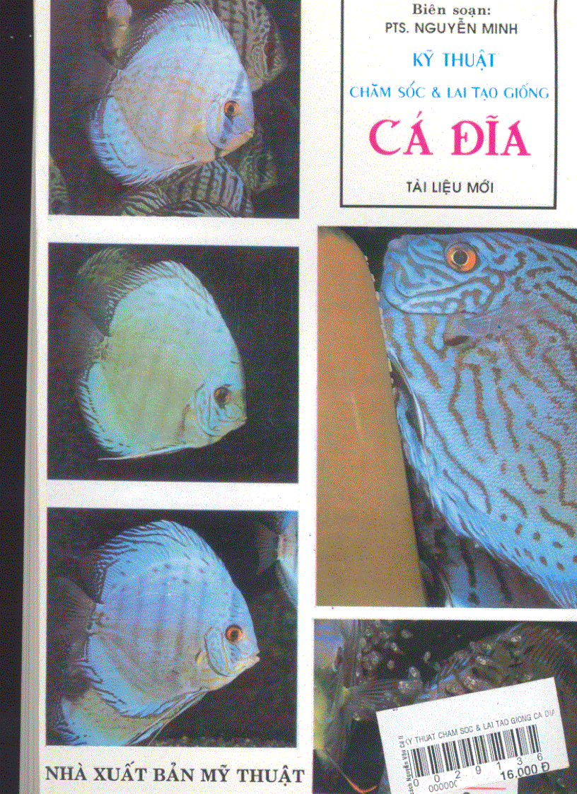 image for page Kỹ thuật chăm sóc và lai tạo giống cá đĩa
